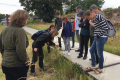 groep-lage-fronten